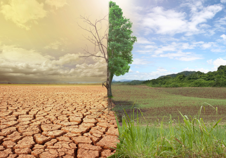Effects of Climate Change  (Photo: Internet)