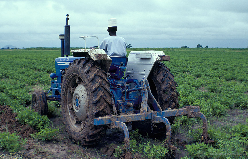 Farming-in-Nigeria