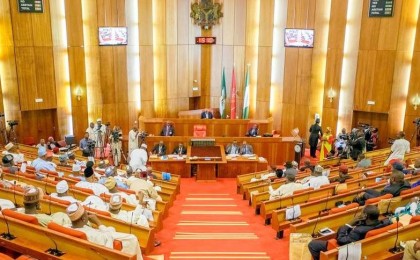 Nigeria Senate Chamber 