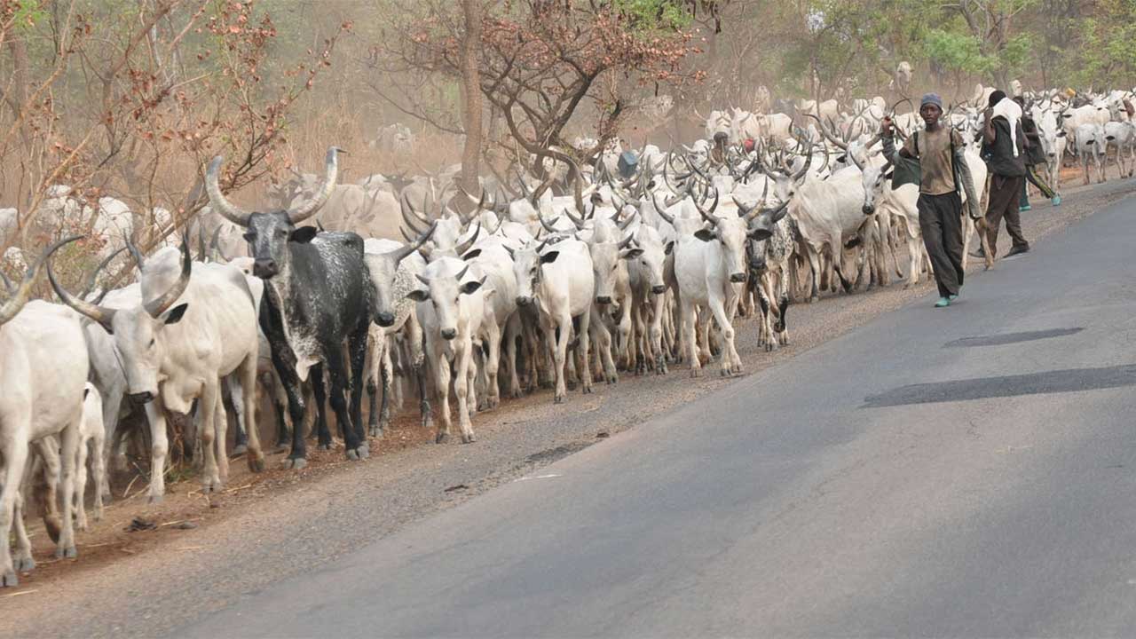 Federal Government Decisive Action On Armed Herdsmen and Others – NSA
