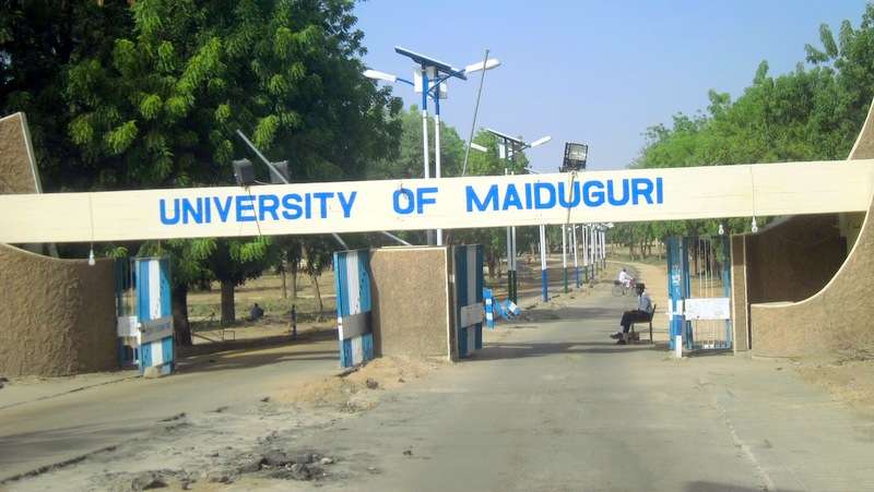 ASUU Appeals to FG to Approve Funds for Perimeter Fence for UNIMAID