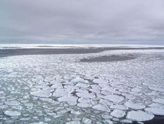 Climate Change: Arctic Sea Ice May Disappear