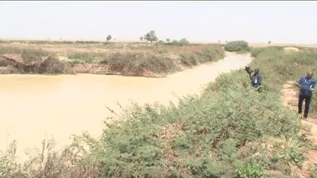 Zauro Polder Project: Kebbi State Partner FG to Boost All-year round farming