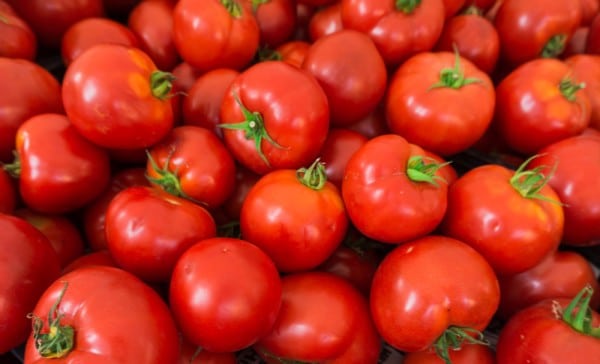 Dangote Tomato Boss Commends FG for banning Tomato Paste importation