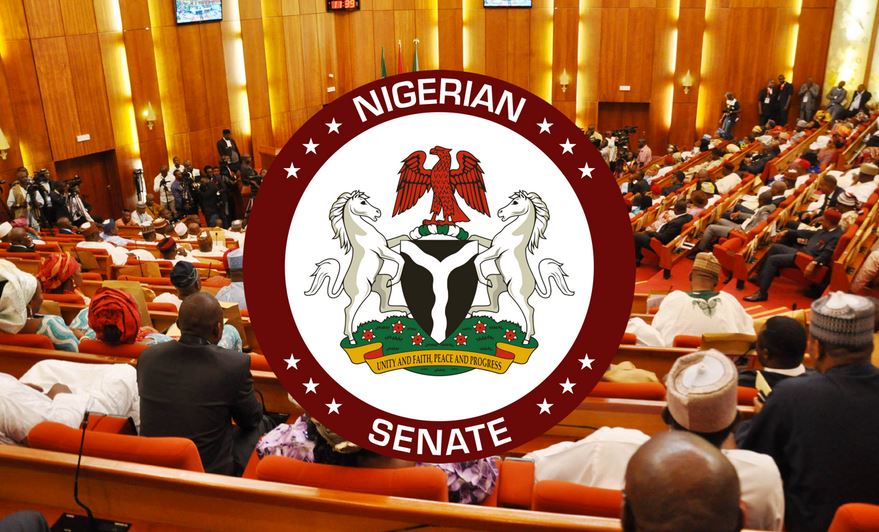 Day 3 of The Senate Committee’s Presentation of Budget Report to the Appropriation Committee