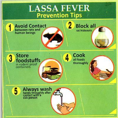 Taking fight against Lassa fever to the next level