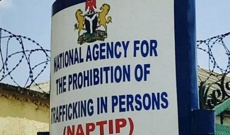 Human Trafficking: NAPTIP rescues 21, arrests 2 in A’Ibom