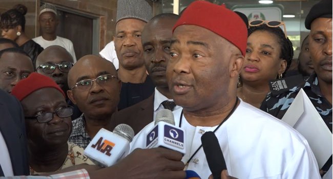 I feel excited being part of the National Economic Council — Uzodinma