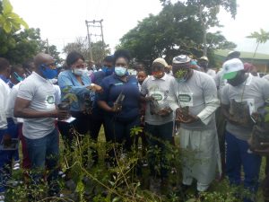 Afforestation: NGO tasks FCT residents on tree planting